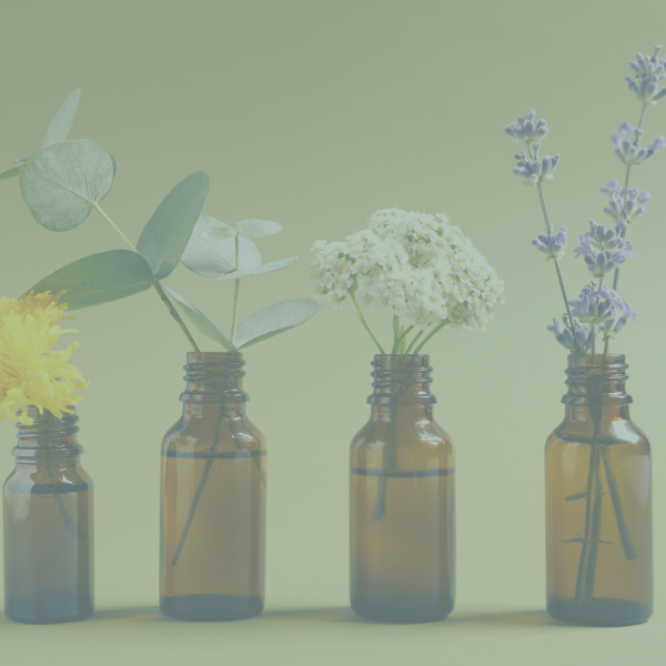 Raindrop Massage mit viel ätherischen Ölen